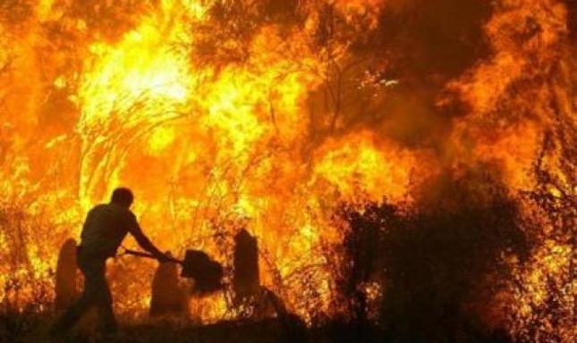 Δασοπυροσβέστης... εμπρηστής!