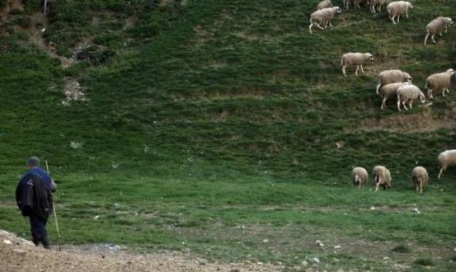 Σέρρες: Βοσκός βρήκε πτώμα γυναίκας!