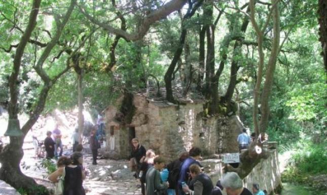 Tο θαύμα με τα 17 πλατάνια στη στέγη του Ναού της Αγίας Θεοδώρας