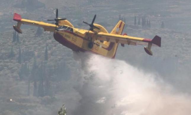 Μεγάλη φωτιά στη Σταμάτα κοντά στη λίμνη Μαραθώνα - Καίγονται πεύκα κοντά σε σπίτια
