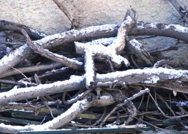 Καιρός: Το κρύο ήρθε για να μείνει