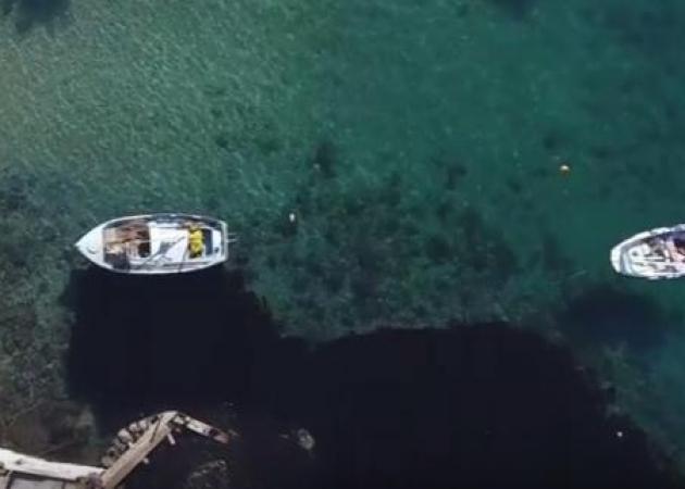 Πετρελαιοκηλίδα στον Σαρωνικό: Θλιβερές εικόνες από drone