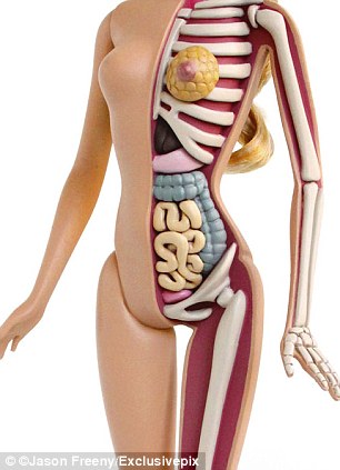 src=/files/Image/NEWS/2012/OKTOVRIOS/19-10/barbie2.jpg