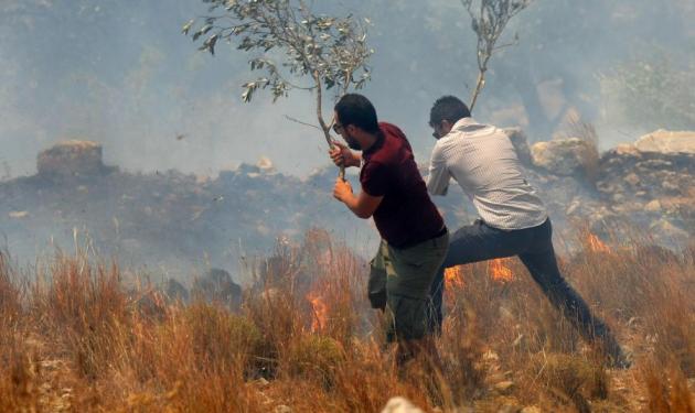 Φωτιά σε ναρκοπέδιο στη Θεσπρωτία – Στάχτη χιλιάδες στρέμματα στο Ρέθυμνο
