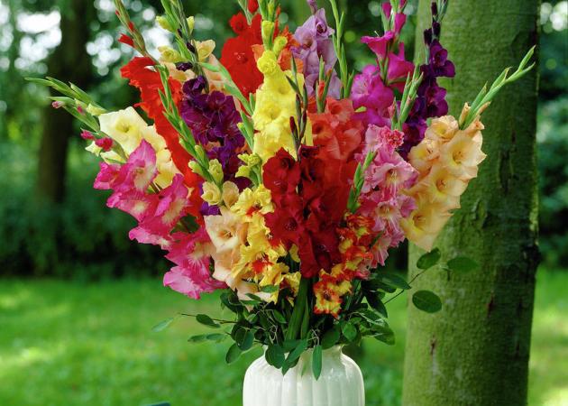Διακόσμηση με λουλούδια: Floral ιδέες για το σπίτι σου!