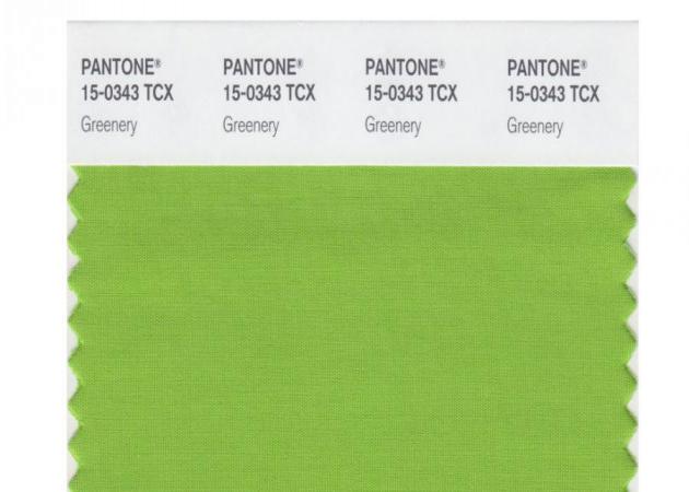Αυτό είναι το χρώμα της χρονιάς από την Pantone! Δες πώς να το χρησιμοποιήσεις!