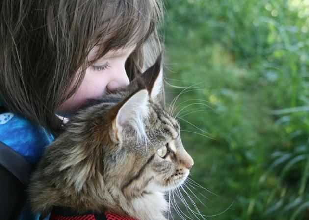Η εκπληκτική ιστορία της αυτιστικής Iris και της γάτας της Thula!