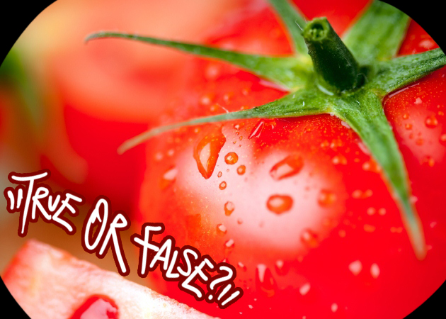 Αλήθεια παχαίνει η πατάτα; Η ντομάτα έχει ζάχαρη; 5 μύθοι γύρω από τη διατροφή σου… | tlife.gr