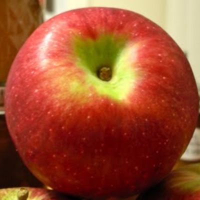 7 | 5. Paula Red μήλο