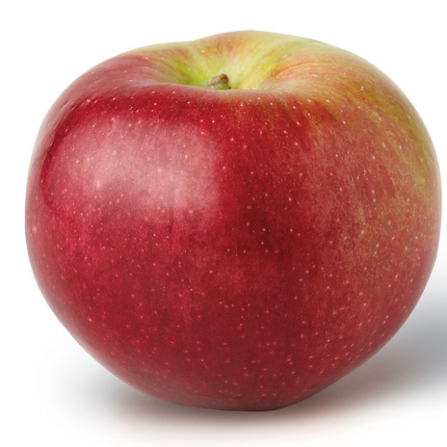 6 | 6. Macoun μήλο