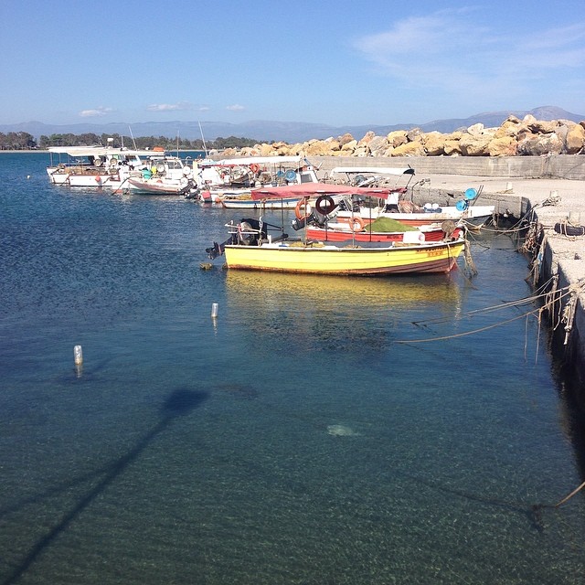 7 | Ράνια Θρασκιά