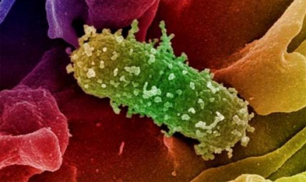 Το πρώτο κρούσμα e-coli με τοξικό στέλεχος στα Επτάνησα