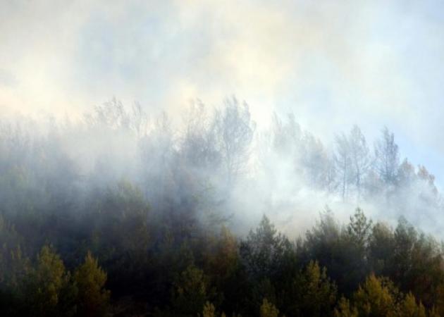 Φωτιά στην Κάρυστο: Καίγονται σπίτια! Εκκενώθηκε οικισμός