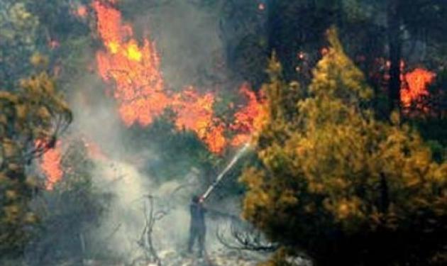 Κρήτη: Νέες φωτιές σε Ηράκλειο και Ρέθυμνο!