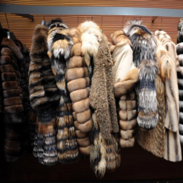 Τι να προσέχεις όταν αγοράζεις ένα γούνινο παλτό – γιλέκο!