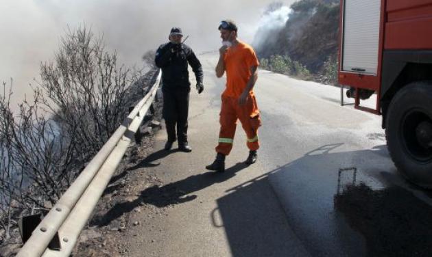 Παρανάλωμα του πυρός στρέμματα δάσους ενώ η Πολιτεία κοιμάται