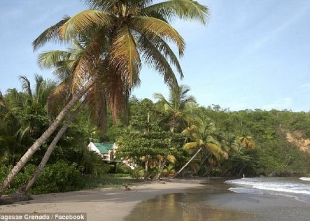 Φρίκη! Άγριος βιασμός και δολοφονία τουρίστριας στην Καραϊβική