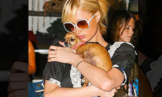 Δύσκολες ώρες για την Paris Hilton!