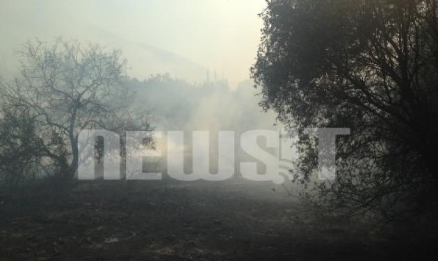 Τεράστια πυρκαγιά στο Μαρκόπουλο – Μία ανάσα από το δάσος του Κουβαρά – Κάηκαν ολοσχερώς σπίτια