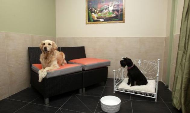 Το πρώτο ξενοδοχείο πολυτελείας για σκύλους!