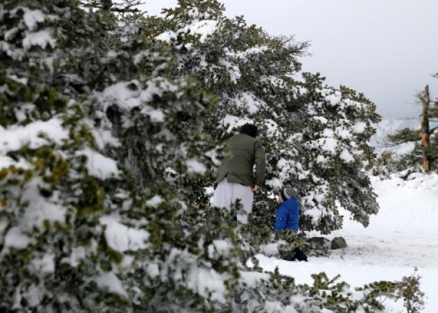 Καιρός: Οι πρώτες νιφάδες χιονιού στην Αθήνα! Πρωτοχρονιά με χιόνια