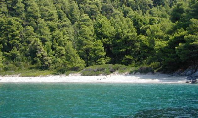 Το τέλειο νησί για διακοπές η Σκόπελος, σύμφωνα με την Telegraph
