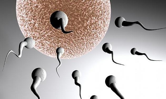 Ποια χώρα θέλει να κάνει εισαγωγή σπέρματος από την Ελλάδα;
