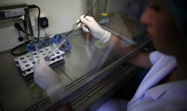 Αβοκάντο από την Ευρώπη βρέθηκαν μολυσμένα με E.coli