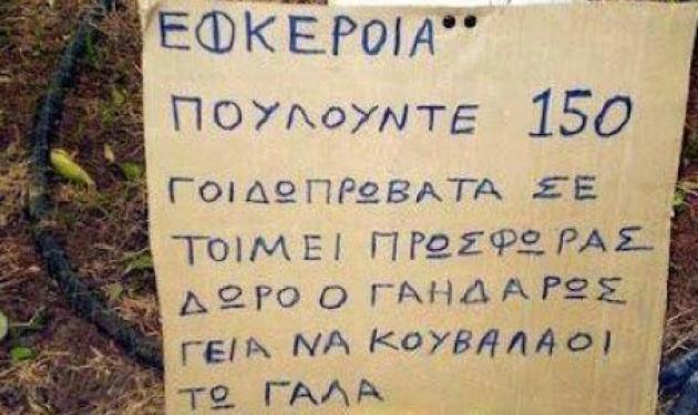 Τρίκαλα: Η πιο ανορθόγραφη αγγελία – Βοσκός θέλει να πουλήσει 150 γιδοπρόβατα!