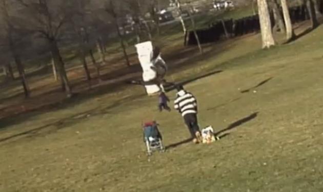 Χρυσαετός αρπάζει μωρό on camera! – Συγκλονιστικό βίντεο!