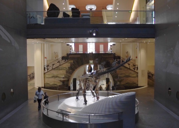 5 πράγματα που μπορεί να απολαύσει στο μουσείο δεινοσαύρων!