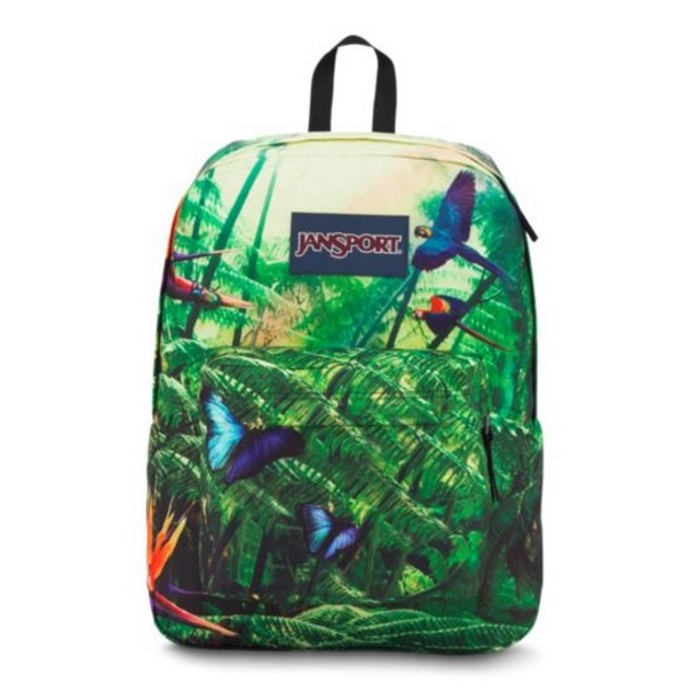 18 | Backpack Jansport 35€