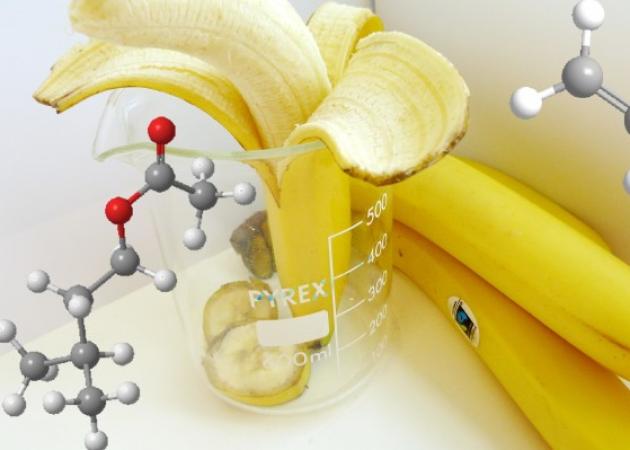 Δεν ξανάγινε: Επιστήμονες φτιάχνουν μπανάνες που δεν σαπίζουν!