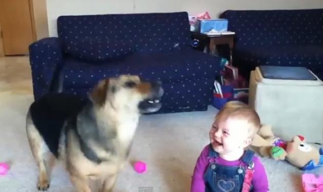 Πώς μια φούσκα μπορεί να τρελάνει τον σκύλο σου; Δες το ξεκαρδιστικό video