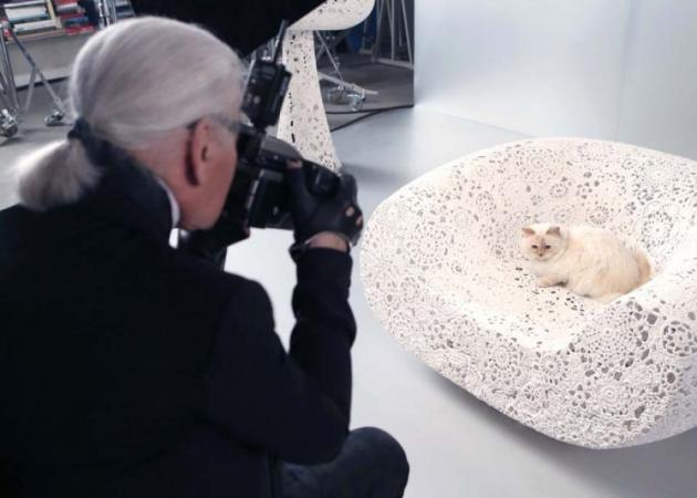 Η γάτα του Karl Lagerfeld θα πρωταγωνιστήσει σε καμπάνια καλλυντικών!