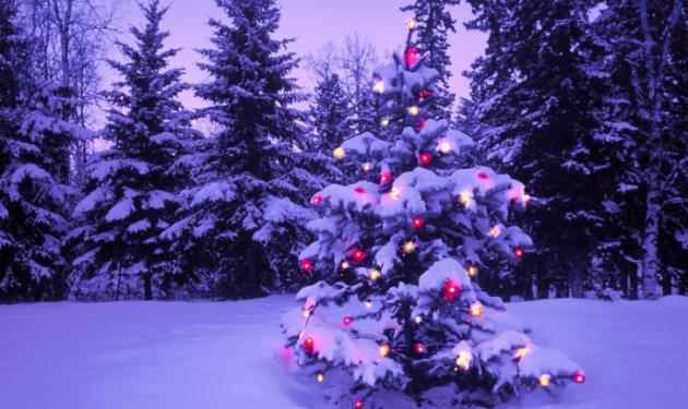 Με τσουχτερό κρύο και χιόνια τα φετινά Χριστούγεννα – Πού χρειάζονται αλυσίδες!
