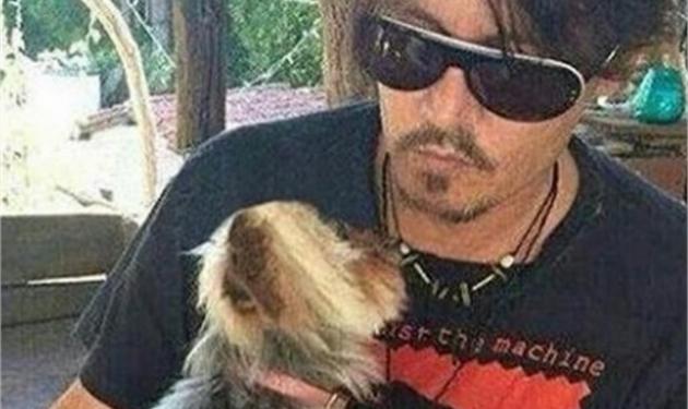Johnny Depp: Οι Αρχές απειλούν με ευθανασία τα σκυλιά του!