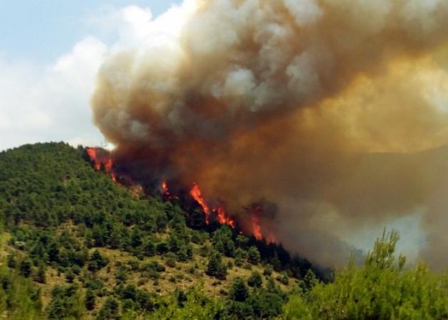 Κόλαση φωτιάς στα Δερβενοχώρια – Σε δύσβατη περιοχή η πυρκαγιά – Τιτάνια προσπάθεια από τους πυροσβέστες – Συνεχείς ανοζωπυρώσεις