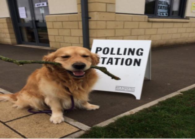 Αγγλία – Εκλογές: Ποια Μέι και ποιος Κόρμπιν; Πρωταγωνιστές οι σκύλοι! [pics]