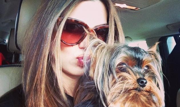 Οι selfies φωτογραφίες των Ελλήνων celebrities με τους σκύλους τους!