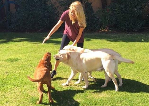 Δούκισσα Νομικού: Η μεγάλη αδυναμία που έχει στα σκυλιά του αγαπημένου της! Βίντεο