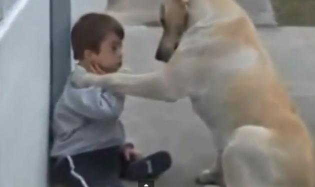Το συγκινητικό βίντεο ενός παιδιού με σύνδρομο Down και ενός σκύλου