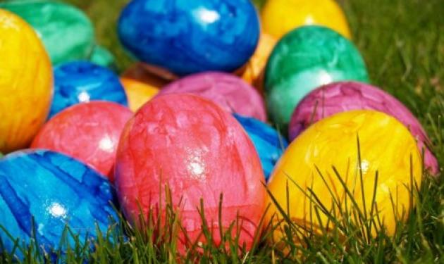 Κότες γεννούν αυγά σε… διάφορα χρώματα!