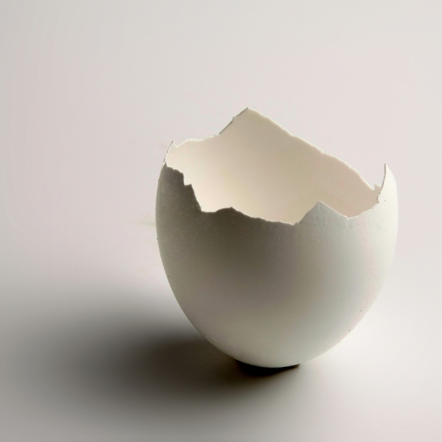 Πώς θα διαπιστώσεις αν ένα αυγό είναι φρέσκο; Κάνε το τεστ!
