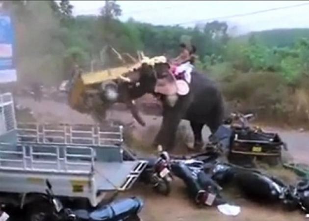 Ελέφαντας αφηνίασε και τα έκανε λαμπόγυαλο! – Βίντεο