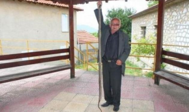 Κοζάνη: Σκότωσε φίδι μήκους σχεδόν δύο μέτρων!