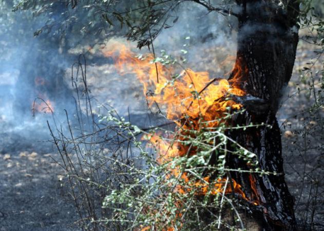 Θρίλερ με απανθρακωμένο άνδρα στη Λεωφόρο Λαυρίου!