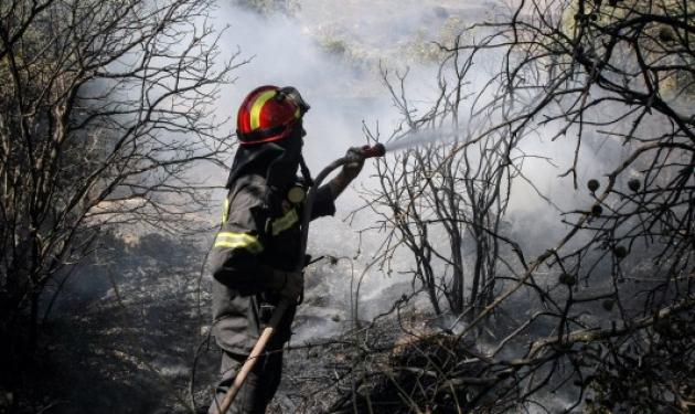 Καίγεται για δεύτερο 24ωρο η Βιάννος – Ολονύχτια μάχη με τις φλόγες
