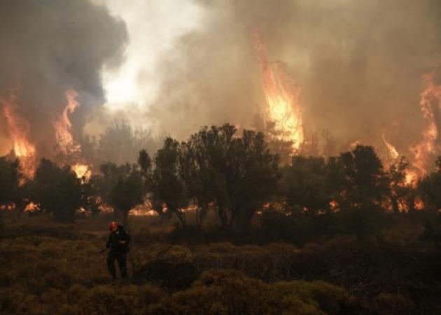 Άνιση μάχη με τις φλόγες στα Δερβενοχώρια – Αποπνικτική η ατμόσφαιρα ως την Αττική