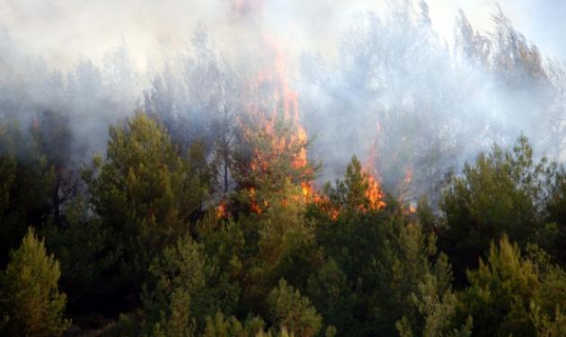 Αυξημένος κίνδυνος πυρκαγιών το Σάββατο – Δες ποιες περιοχές κινδυνεύουν